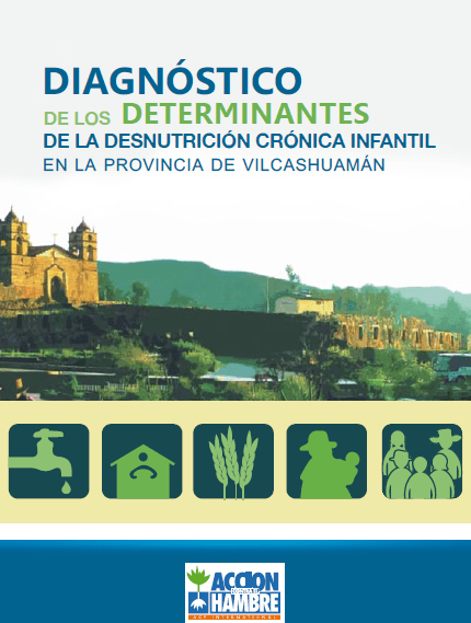 Desnutricion infantil en Vilcashuaman