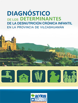 Publicación: Diagnostico de los determinantes de la desnutrición infantil en la provincia de Vilcashuamán