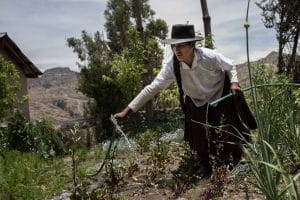 Mujer en Lucanamarca Perú regando plantas