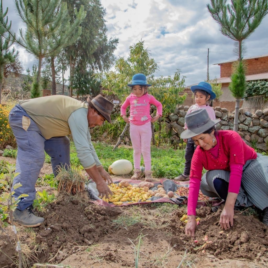 Familia en la provincia de Ayacucho trabajando la tierra