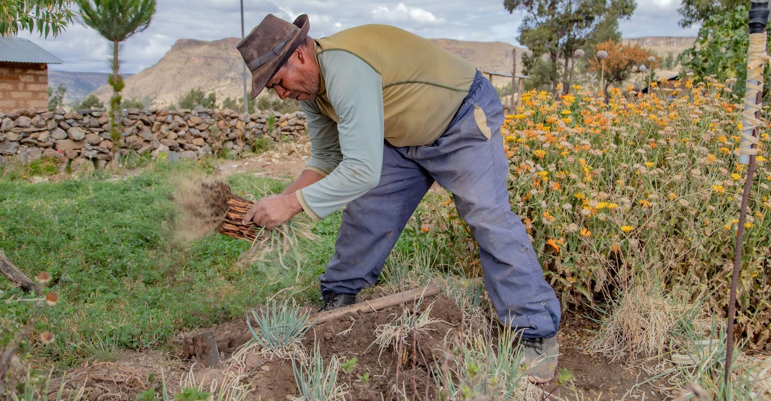 COMBATIMOS LA INSEGURIDAD ALIMENTARIA EN EL PERÚ DESDE 2007