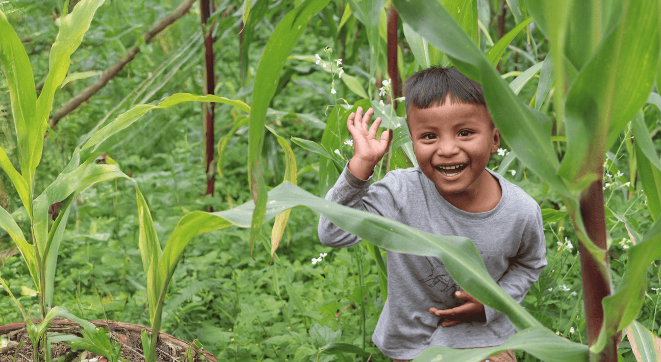 BALANCE ANUAL 2025: Más de 243.000 personas alcanzadas