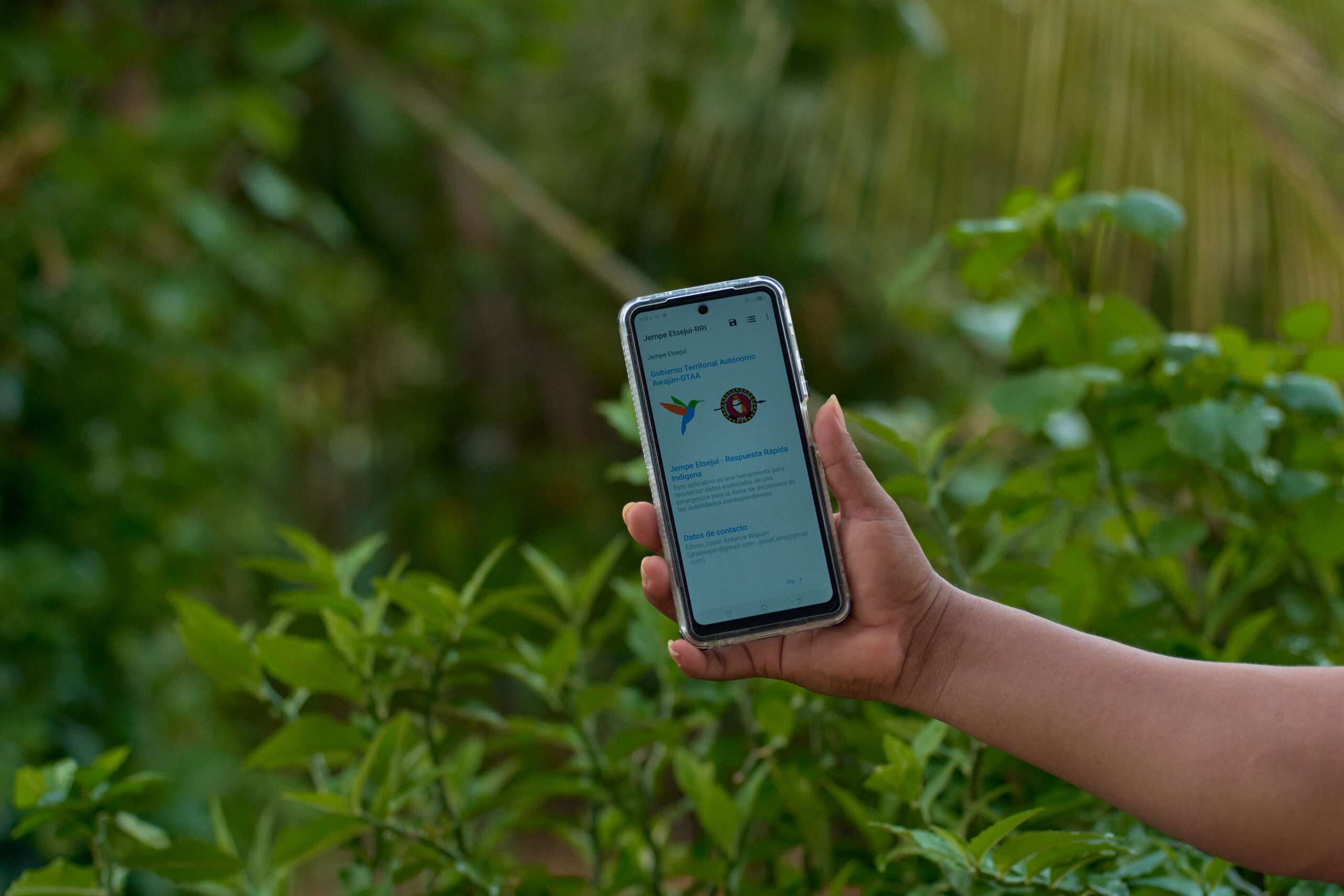 Jempe Etsejui: la tecnología awajún que protege la Amazonía con alertas de delitos, desastres y emergencias con innovadora app